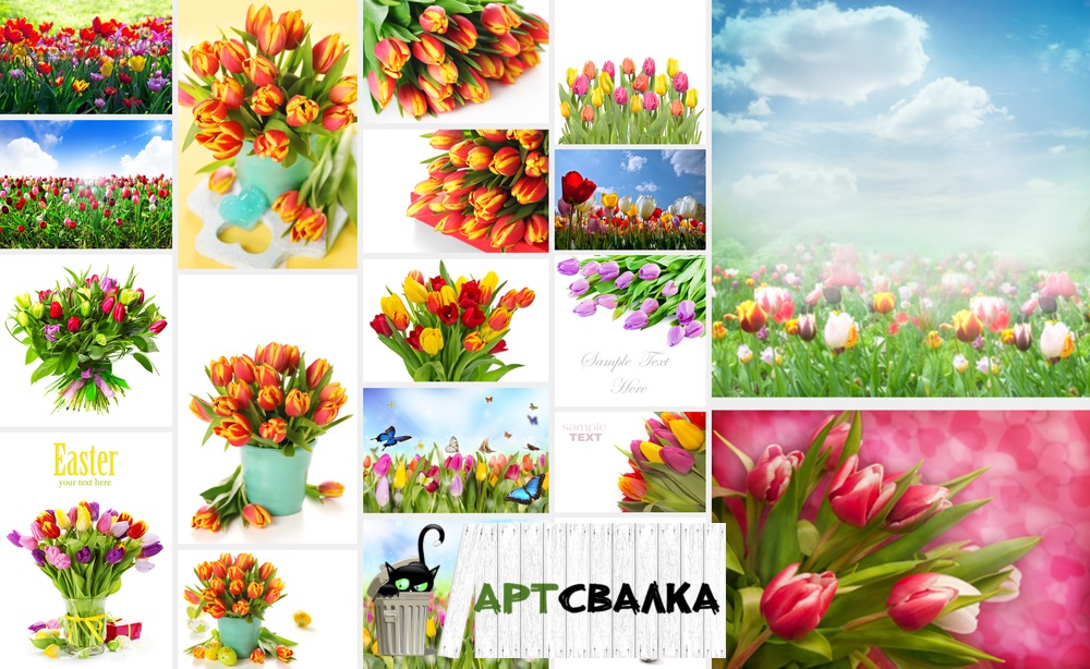 Композиции из тюльпанов. Часть 2 | Composition of tulips. Part 2